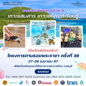 โปสเตอร์ ทิพยสืบสาน ครั้งที่ 39 แสมสาร จ.ชลบุรี